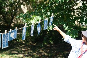 Conservatoire - Cyanotype enfants