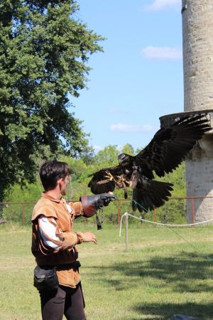Château de Duras - spectacle fauconnerie 2025